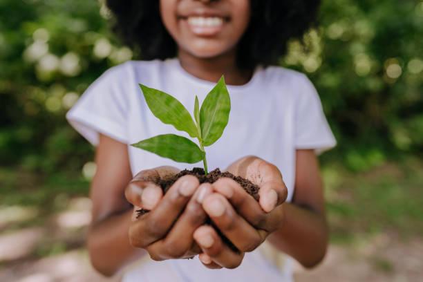 Educação Ambiental na Prática: Empresas e Cidadãos Fazendo a Diferença Educação Ambiental na Prática: Empresas e Cidadãos Fazendo a Diferença
