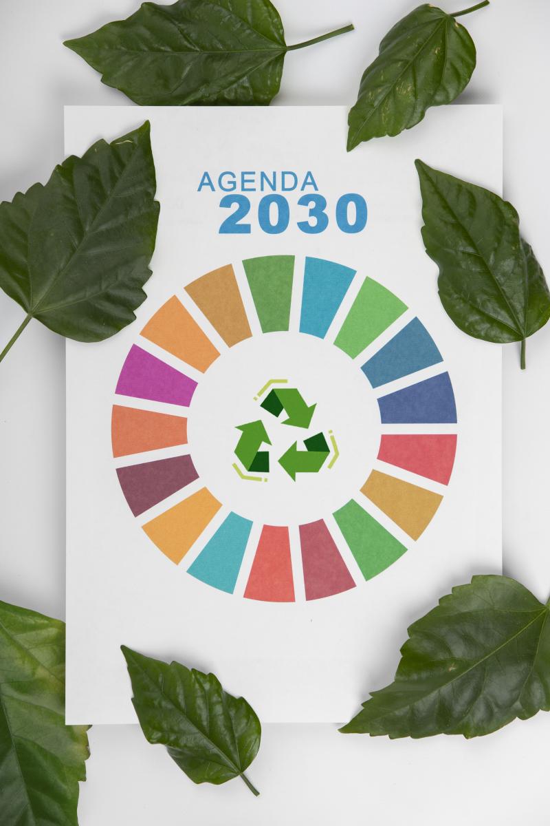 Sustentabilidade Empresarial em Foco: Caminhos até a COP30 Sustentabilidade Empresarial em Foco: Caminhos até a COP30