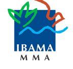 RAPP e SINIR: Por Que Sua Empresa Não Pode Ignorar Essas Obrigações