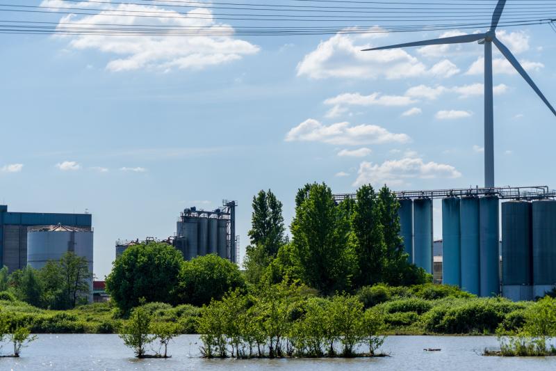 Biodiversidade e indústria: por que preservar a natureza também é uma estratégia para os negócios?