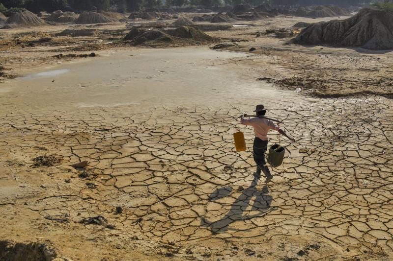 El Niño, alta no preço dos alimentos e os impactos financeiros: preservar o meio ambiente é uma questão de sobrevivência