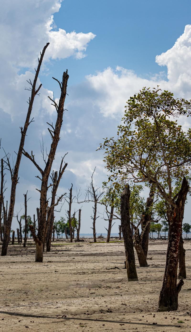 Risco Climático nas Empresas